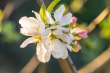 DSC_4400_1920