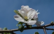 DSC_4474_crop_1920