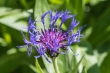 DSC_4588_1920