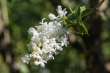 DSC_4591_1920