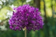 DSC_4621_1920