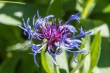 DSC_4645_1920