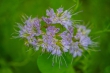 DSC_4674_1920