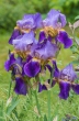 DSC_4678_crop_1920