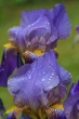 DSC_4680_1920