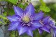 DSC_4684_1920