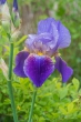 DSC_4691_1920