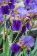 DSC_4693_1920
