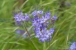 DSC_4696_1920