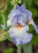 DSC_4703_crop_1920