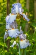 DSC_4707_1920
