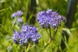DSC_4720_1920
