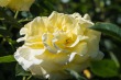 DSC_4751_1920
