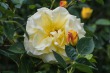 DSC_4766_1920