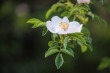 DSC_4775_1920