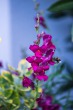 DSC_4794_1920