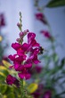 DSC_4795_1920