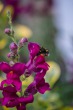 DSC_4797_1920