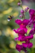 DSC_4800_1920