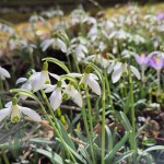 Frühling 2026