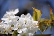 dsc_0180_1024_0