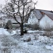 Verschneiter Garten