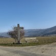 Einsames Feldkreuz bei Oberlauchringen