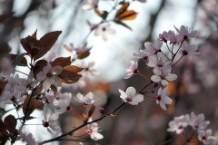 Frühling 2014