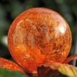 Orangener Orb