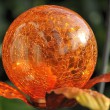 Orangener Orb