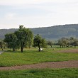 Frühlingswiese beim Salental im April 2014