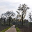 Frühling beim Mühlengraben Oberlauchringen