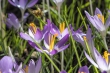 DSC_3835_1920