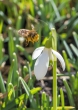 DSC_3837_crop_1920