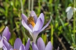 DSC_3842_1920