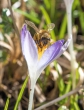 DSC_3845_crop_1920