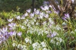 DSC_3851_1920