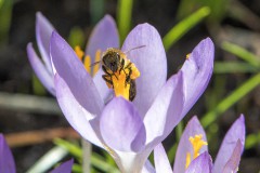 Frühling 2020