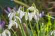 DSC_3870_1920