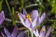 DSC_3884_1920