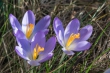 DSC_3904_1920