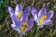 DSC_3913_1920