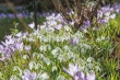 DSC_3919_1920