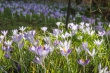 DSC_3927_1920