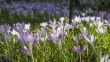 DSC_3934_1920
