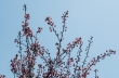DSC_4025_crop1920