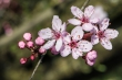 DSC_4064_1920
