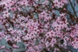 DSC_4067_1920
