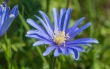 DSC_4235_crop_1920