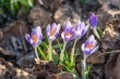 DSC_6526_1920